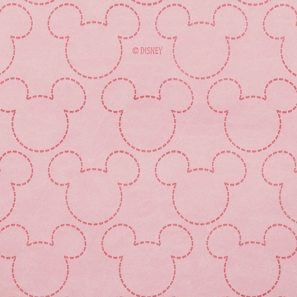 MICKEY Mouse Icon File Organizer - Picture 3 of 7